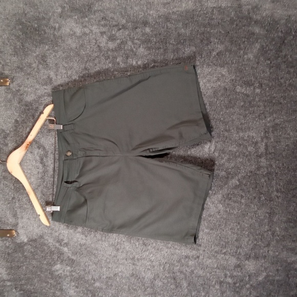 Toad&Co Green Flat Front Shorts Casual Style Rover Outdoors Mens 36 - Picture 2 of 9